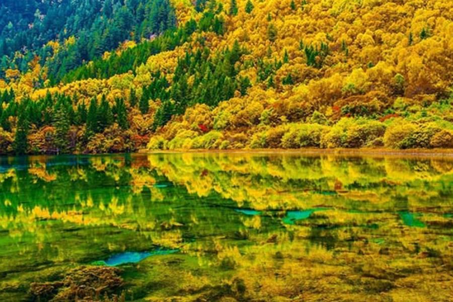 【九寨六绝,黄龙浴色】九寨沟,黄龙,熊猫基地,宽窄锦里,千年古刹8日