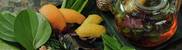 img73