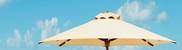 img326
