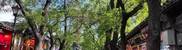 img33