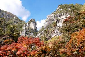 楓之細道 昇仙峽 高尾山 箱根 河口湖 清里高原 關東紅葉賞5日 國外旅遊 東南旅遊網