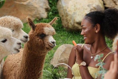 
                                                                                                羊駝寶寶互動體驗、水上樂園、SPA峇里島5日
                                                                                                