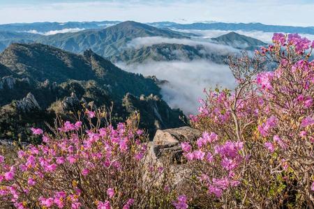 
                                                                                                【迷戀雪嶽山】正東津海洋列車、山湖水纜車、清水堂網美咖啡、韓服體驗5日
                                                                                                