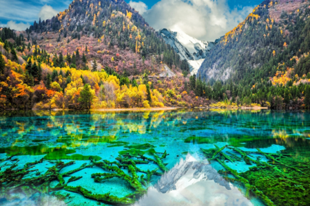 
                                                                                                九寨二次入溝、黃龍含上行纜車、熊貓基地、都江堰單程動車八日
                                                                                                