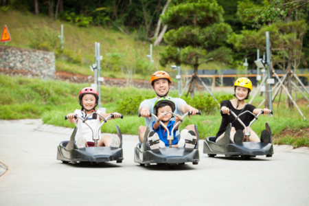 
                                                                                                【亮彩韓國】斜坡滑車、南怡島、晨靜樹木園、南山纜車5日(只走彩妝)
                                                                                                