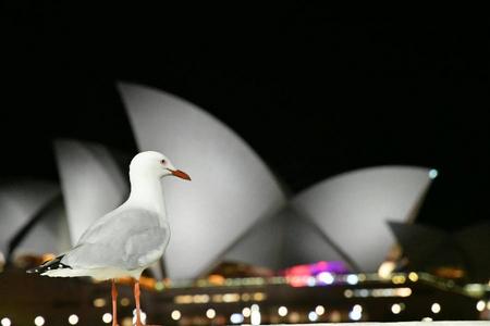 
                                                                                                【花漾東澳三城全覽】雪梨歌劇院、神仙小企鵝、藍山纜車、庫倫賓鳥園9日
                                                                                                