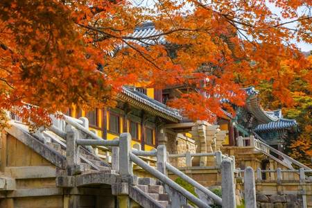 
                                                                                                【楓紅釜慶】梵魚寺金剛纜車、校村韓服體驗、蔚藍海岸咖啡、長腳蟹美食5日
                                                                                                
