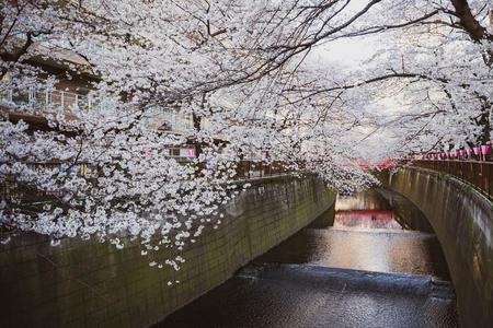 
                                                                                                精選｜五星東京賞櫻～目黑川隧道．小田原城．敘敘苑燒肉．MOA美術館5日
                                                                                                