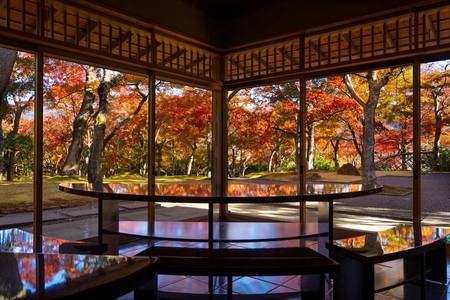 
                                                                                                精選｜東京賞楓×五星雙溫泉～高尾山纜車・河口湖紅葉・身延山絕景5日
                                                                                                