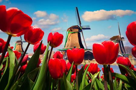 
                                                                                                【聰明玩家】法比荷｜庫肯霍夫花園、艾菲爾鐵塔饗宴、巴黎市區三晚10日
                                                                                                