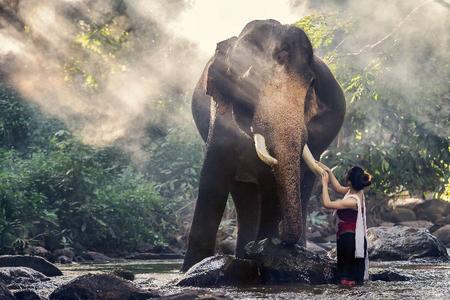 
                                                                                                【泰北FUN輕鬆】漫遊古城清邁。友善象園體驗。叢林遊記探索五日
                                                                                                