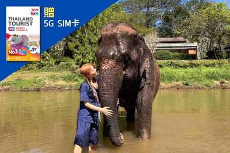 
                                                                                                【熱血清邁】動力滑翔傘、叢林探險、 南奔火車、馬車遊南邦古城 五日
                                                                                                