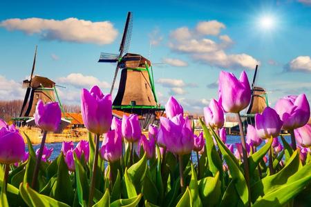 
                                                                                                魅力歐洲、荷比盧～鬱金香花園、童話雙城遊船、聖彼得山洞窟、歐洲之桅九日
                                                                                                