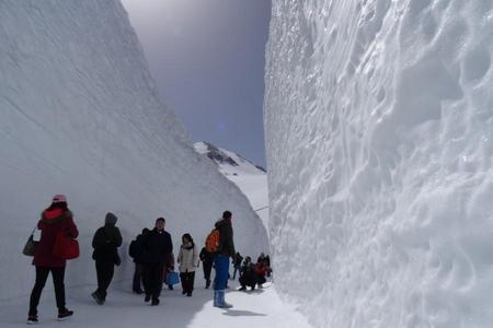 
                                                                                                精選｜立山雪牆×粉蝶・芝櫻・紫藤～保住五星．敘敘苑燒肉．溫泉絕景7日
                                                                                                