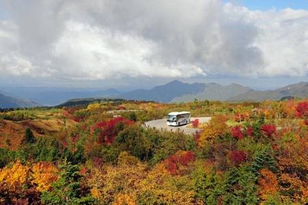 
                                                                                                限量名古屋楓賞昇龍道｜壯遊立山黑部、神鄉上高地、國寶松本城、飛驒牛5日
                                                                                                
