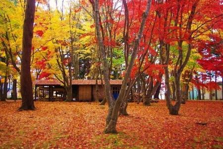
                                                                                                【精選北國紅葉】豐平峽、有珠山、大沼湖、平岡樹藝、三溫泉三大蟹五日遊
                                                                                                
