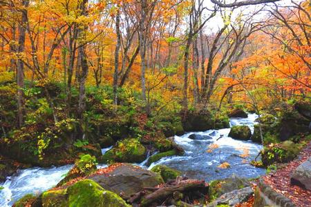 
                                                                                                【青森秋翩翩】十和田、嚴美溪、五色沼、松島船、新幹線、大內宿、溫泉6日
                                                                                                