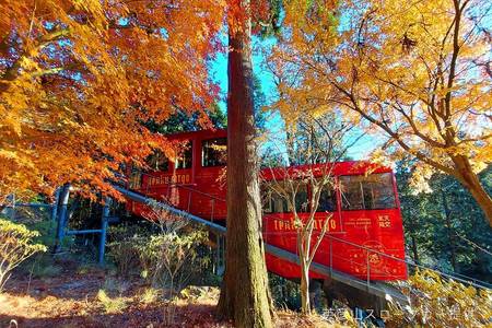 
                                                                                                【精選九州秋意5日】柳川船歌、高千穗紅葉情、 英彥山斜坡電車、兩晚溫泉
                                                                                                