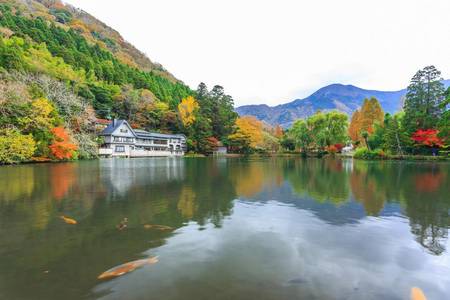 
                                                                                                【精選秋戀九州5日】鐵道神話、九州動物園、童話湯布院、秋染紅葉秘境
                                                                                                