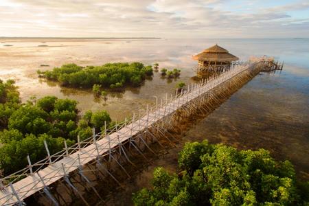 
                                                                                                【菲趣宿霧】薄荷島、海豚遊蹤、巧克力山、紅樹林追夕陽 5日
                                                                                                