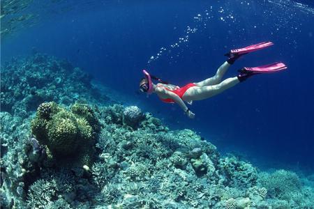
                                                                                                【嗨翻宿霧】番薯島、歐斯陸鯨鯊共舞、鐘乳石洞5日
                                                                                                