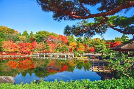 
                                                                                                【伊豆秋微醺】紅葉祭、橫濱纜車、修善寺街、大室山吊纜、吃螃蟹、溫泉5日
                                                                                                