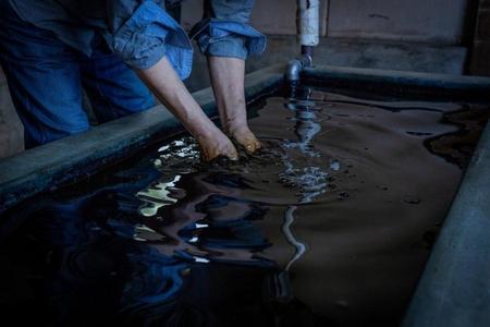 
                                                                                                【全覽｜典藏四國】小豆島纜車‧藍染採果‧阿波大步危‧道後百選松山城7日
                                                                                                