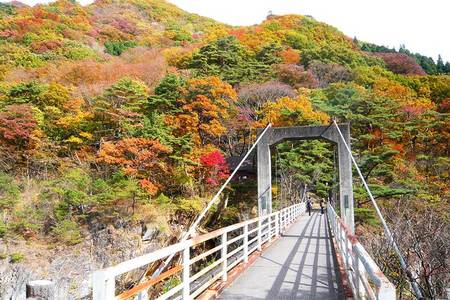 
                                                                                                精選｜東北賞楓x五星溫泉～波波草．銀山溫泉．安達太良纜車．松島遊船7日
                                                                                                