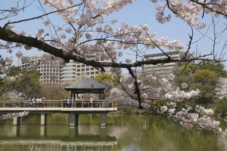 
                                                                                                精選名古屋｜保住萬豪系列酒店、舟遊庄川峽、長良川鐵道、百選櫻之賞6日
                                                                                                