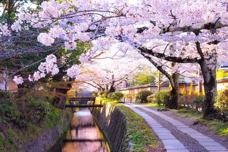 
                                                                                                【限時限量】賞櫻百選‧漫步三都‧關西超值賞櫻半自由行5日
                                                                                                