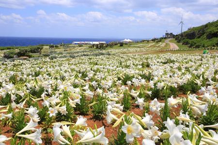 
                                                                                                【花謐沖繩．伊江島】扶桑花園、美國村雪蟹放題、海洋博水族館、跳島四日遊
                                                                                                