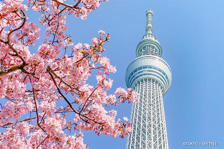 
                                                                                                花賞【晴空塔之歌】迪士尼、御苑櫻、田貫湖、白絲瀧、深大寺、螃蟹溫泉5日
                                                                                                