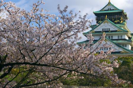 
                                                                                                【精選關西】櫻艷四都‧賞櫻百選‧保住兩晚溫泉‧螃蟹龍蝦和牛關西5日
                                                                                                
