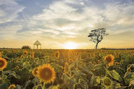 
                                                                                                濟州五星藍鼎～神話世界&韓服體驗.奢華汗蒸幕.笑笑羊牧場.蔚藍海岸5日
                                                                                                