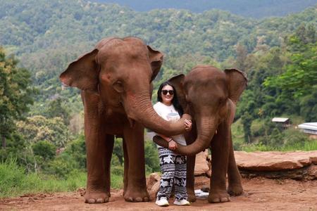 
                                                                                                【星宇清邁】大象寫真、神祕洞穴、夜間動物園、泰服體驗 清邁五日
                                                                                                