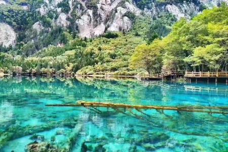 
                                                                                                【超值選】九寨溝黃龍、熊貓基地、樂山大佛遊船、南橋夜景火鍋三排椅8日
                                                                                                