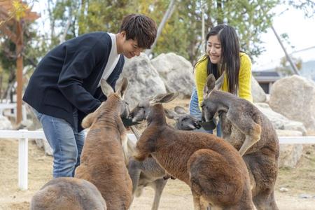 
                                                                                                【丹波童樂趣】大阪動物王國.天橋立.伊根灣京都美山町.勝尾寺5日
                                                                                                