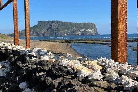 
                                                                                                濟州探訪海女村.四季花園.海陸燒烤三拼.五味子體驗.首推三溫暖飯店5日
                                                                                                