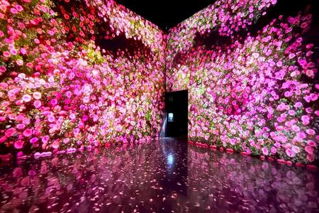 
                                                                                                【長榮釜山交饗樂】跑跑卡丁車、沉浸藝術光影、韓服體驗、長腳蟹美食5日
                                                                                                