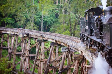
                                                                                                【雪墨雙城】雪梨塔旋轉餐廳、尤利卡觀景台、森林火車、搖擺小企鵝8天
                                                                                                