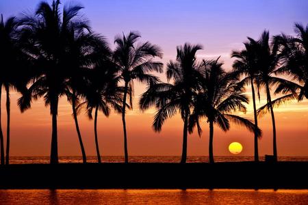 
                                                                                                【超值青春派對斯里蘭卡】五星豪華全包式濱海渡假旅館、野性大草原探險9日
                                                                                                