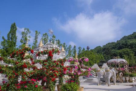 
                                                                                                【全程市區飯店】愛寶春日花海.廣藏美食探索.夢幻星空圖書館.明洞4日
                                                                                                