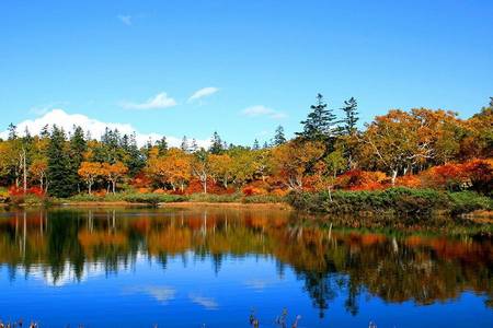 
                                                                                                【北海道楓采翩翩】平岡樹藝紅葉隧道神仙沼・香雪園・瀧野鈴蘭掃帚草6日
                                                                                                