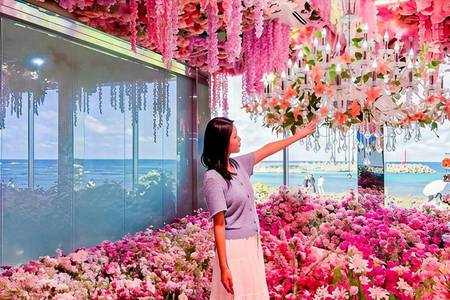 
                                                                                                夏戀濟州～牛島珊瑚海.海女吊飾手作.倫敦貝果.繽紛花藝咖啡.汗蒸幕5日
                                                                                                