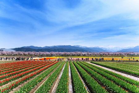 
                                                                                                富山包機｜春之四重奏、百選賞櫻、長良川鐵道、白川鄉合掌村、富山樂購5日
                                                                                                