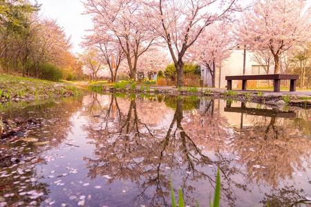
                                                                                                【春櫻樂天】樂天+水族館+美人魚秀、汝矣島現代百貨、塗鴉秀、炸雞5日
                                                                                                