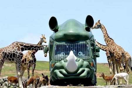 
                                                                                                【熊福九州輕旅行】野生動物園叢林巴士、湯布院、熊本城彩苑、高千穗峽5日
                                                                                                