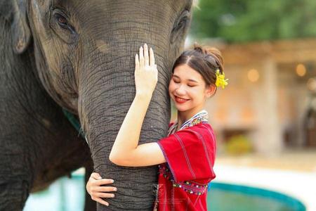 
                                                                                                【清邁慢活美學】森林瑜珈、泰服美拍、米推美食、與象有約、全程無購物6日
                                                                                                