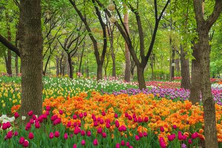 
                                                                                                【首爾漫步】暴君的廚師~恩平韓屋村、德壽宮、聖水洞、奉恩寺、廣藏5日
                                                                                                