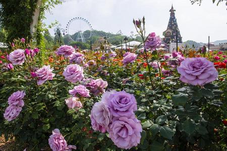 
                                                                                                夏日韓國～愛寶樂園.韓國威尼斯+江華故事小路.韓服體驗.美食五日
                                                                                                